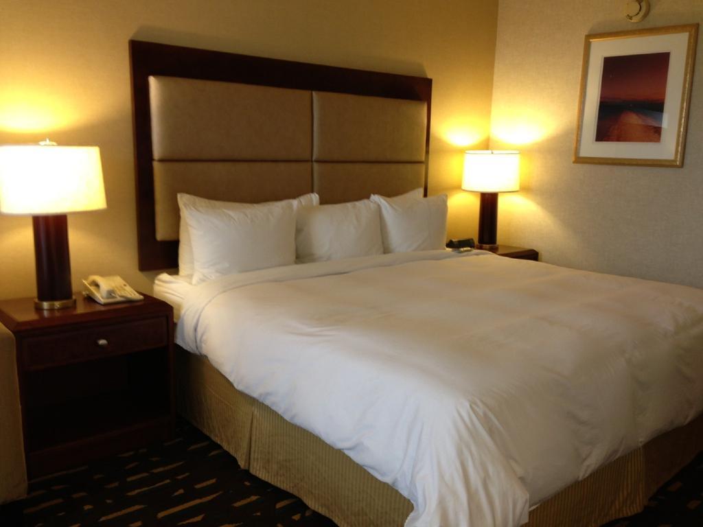 Hotel Wyndham Chicago O'Hare à Rosemont Extérieur photo